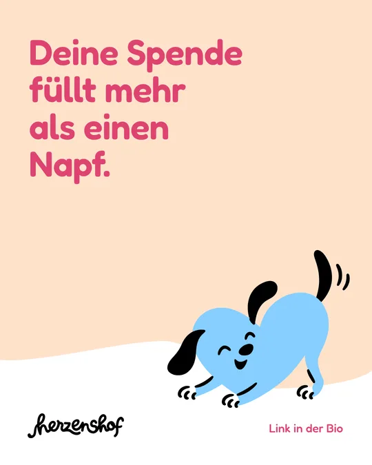 Beitrag: Deine Spende füllt mehr als einen Napf.