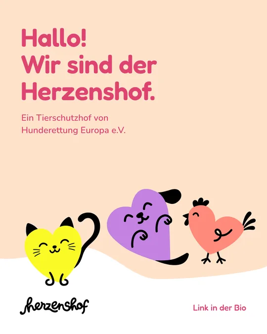 Beitrag: Hallo! Wir sind der Herzenshof.