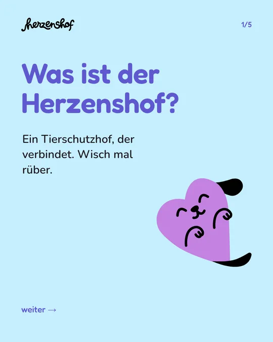 Beitrag: Was ist der Herzenshof?